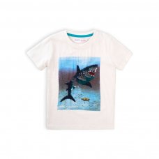 Cove 3K: Shark Print T-Shirt (1-3 Years)